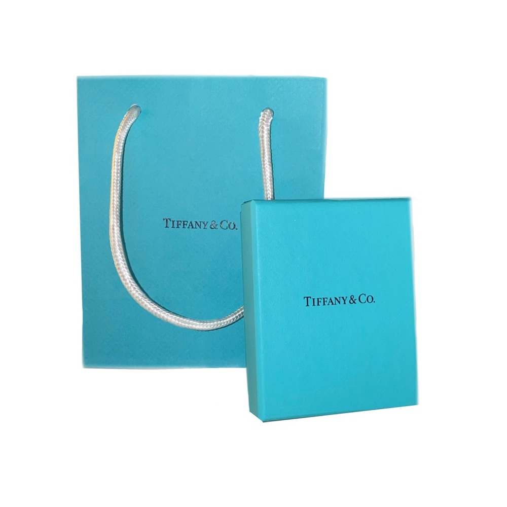 Authentic Tiffany & Co. Gift Bag and Box Set